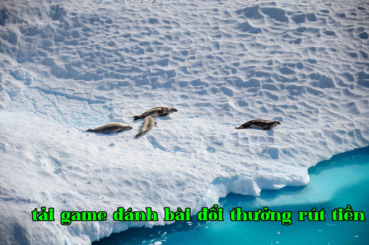 /imgposts/dhasd3f6.jpg