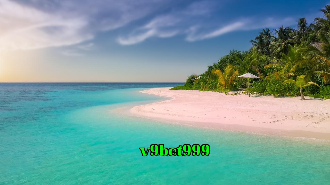 /imgposts/iq7vuec7.jpg